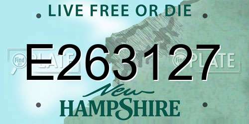 E263127 New Hampshire License Plate