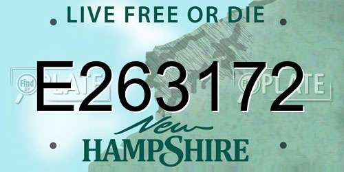 E263172 New Hampshire License Plate