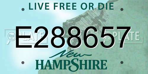 E288657 New Hampshire License Plate