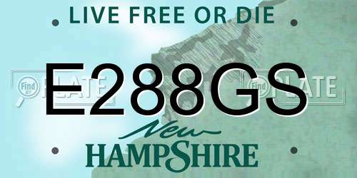 E288GS New Hampshire License Plate