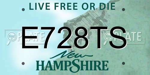 E728TS New Hampshire License Plate