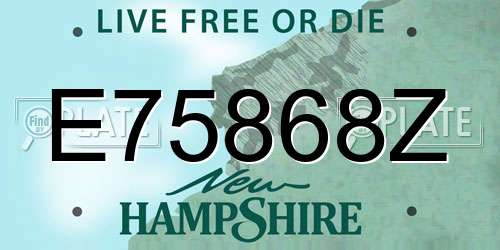 E75868Z New Hampshire License Plate