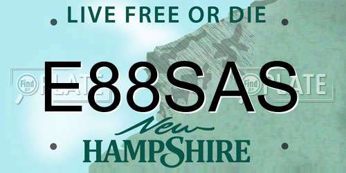 E88SAS New Hampshire License Plate
