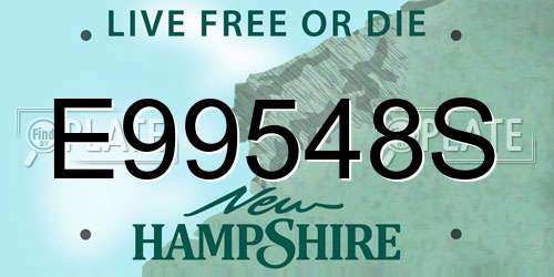E99548S New Hampshire License Plate