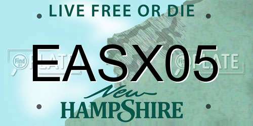 EASX05 New Hampshire License Plate