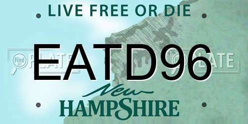 EATD96 New Hampshire License Plate