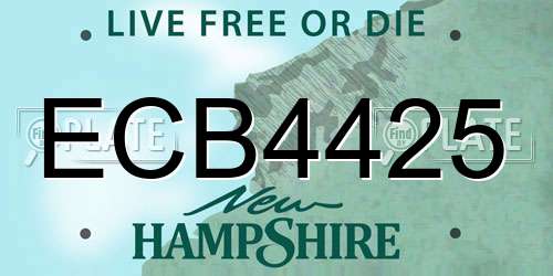 ECB4425 New Hampshire License Plate