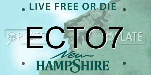 ECTO7 New Hampshire License Plate