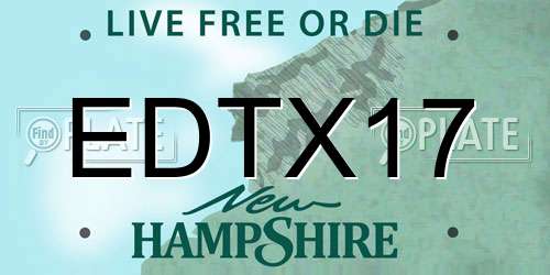 EDTX17 New Hampshire License Plate