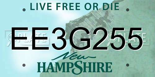 EE3G255 New Hampshire License Plate