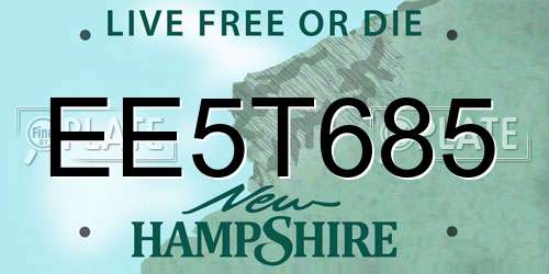 EE5T685 New Hampshire License Plate