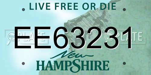 EE63231 New Hampshire License Plate