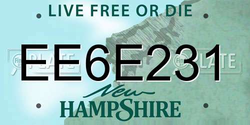 EE6E231 New Hampshire License Plate