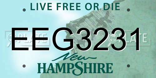 EEG3231 New Hampshire License Plate