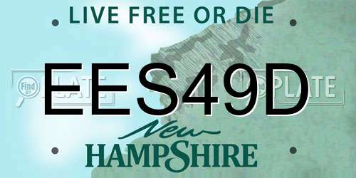EES49D New Hampshire License Plate