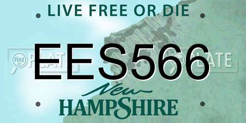 EES566 New Hampshire License Plate
