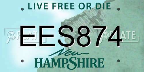 EES874 New Hampshire License Plate