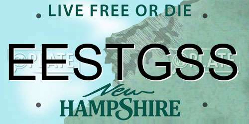 EESTGSS New Hampshire License Plate