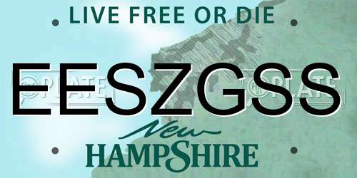 EESZGSS New Hampshire License Plate