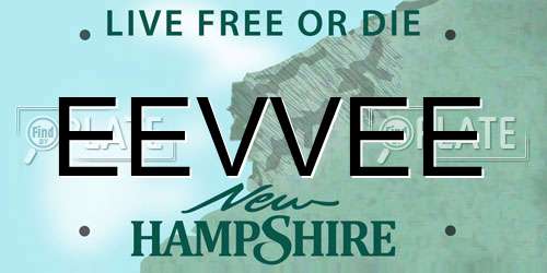 EEVVEE New Hampshire License Plate