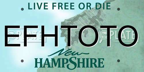 EFHTOTO New Hampshire License Plate