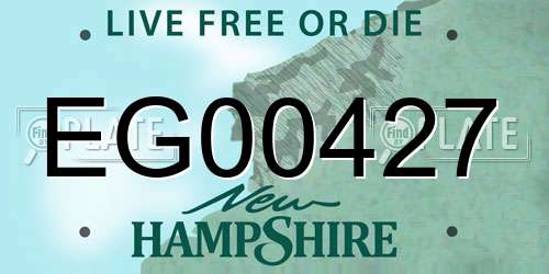 EG00427 New Hampshire License Plate