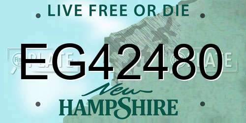 EG42480 New Hampshire License Plate