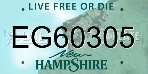 EG60305 New Hampshire License Plate