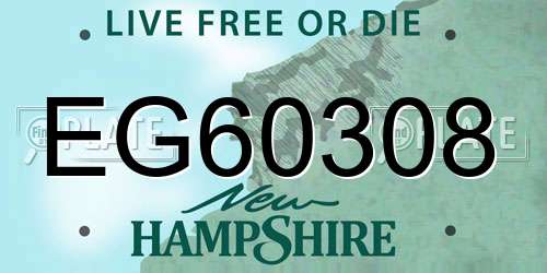 EG60308 New Hampshire License Plate