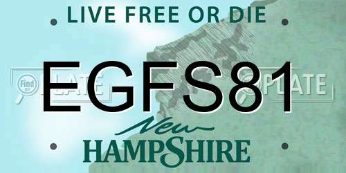 EGFS81 New Hampshire License Plate