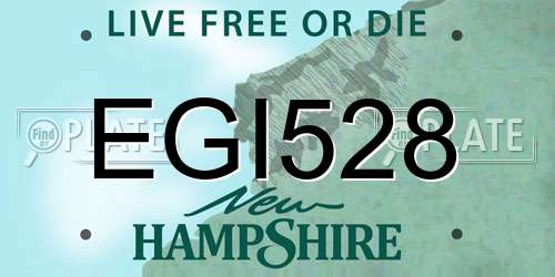 EGI528 New Hampshire License Plate