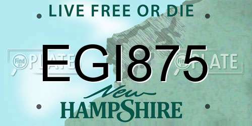 EGI875 New Hampshire License Plate