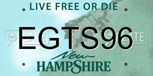 EGTS96 New Hampshire License Plate