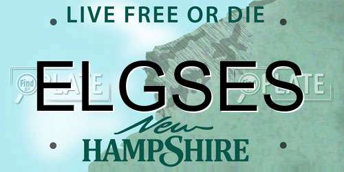 ELGSES New Hampshire License Plate