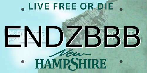 ENDZBBB New Hampshire License Plate