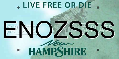 ENOZSSS New Hampshire License Plate