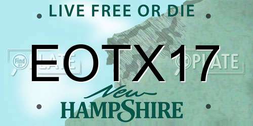 EOTX17 New Hampshire License Plate