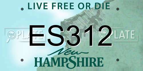 ES312 New Hampshire License Plate