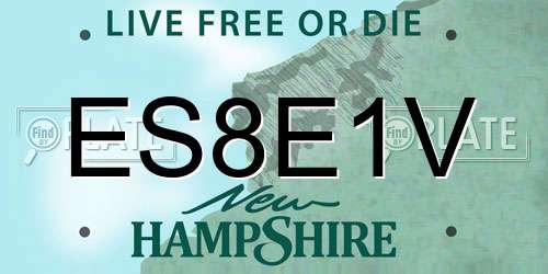 ES8E1V New Hampshire License Plate