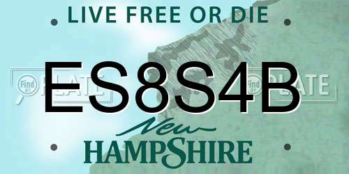 ES8S4B New Hampshire License Plate