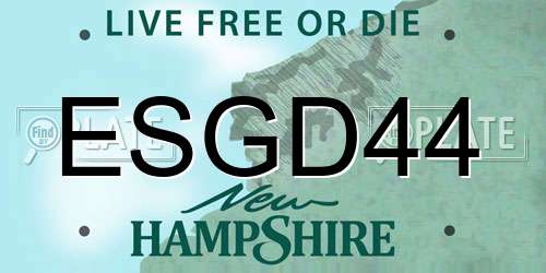 ESGD44 New Hampshire License Plate