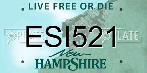 ESI521 New Hampshire License Plate