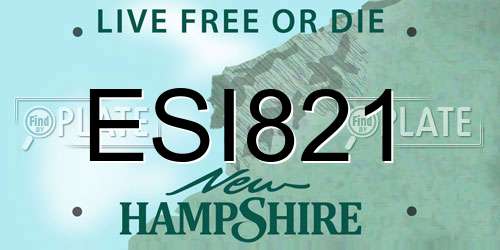 ESI821 New Hampshire License Plate