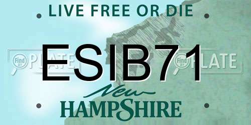 ESIB71 New Hampshire License Plate
