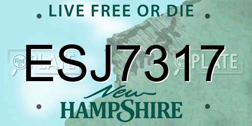 ESJ7317 New Hampshire License Plate