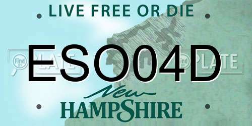 ESO04D New Hampshire License Plate