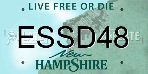 ESSD48 New Hampshire License Plate