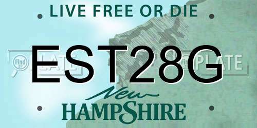 EST28G New Hampshire License Plate