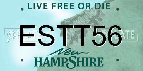 ESTT56 New Hampshire License Plate