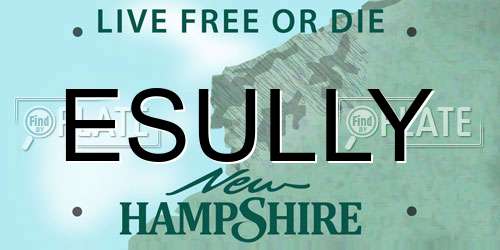 ESULLY New Hampshire License Plate